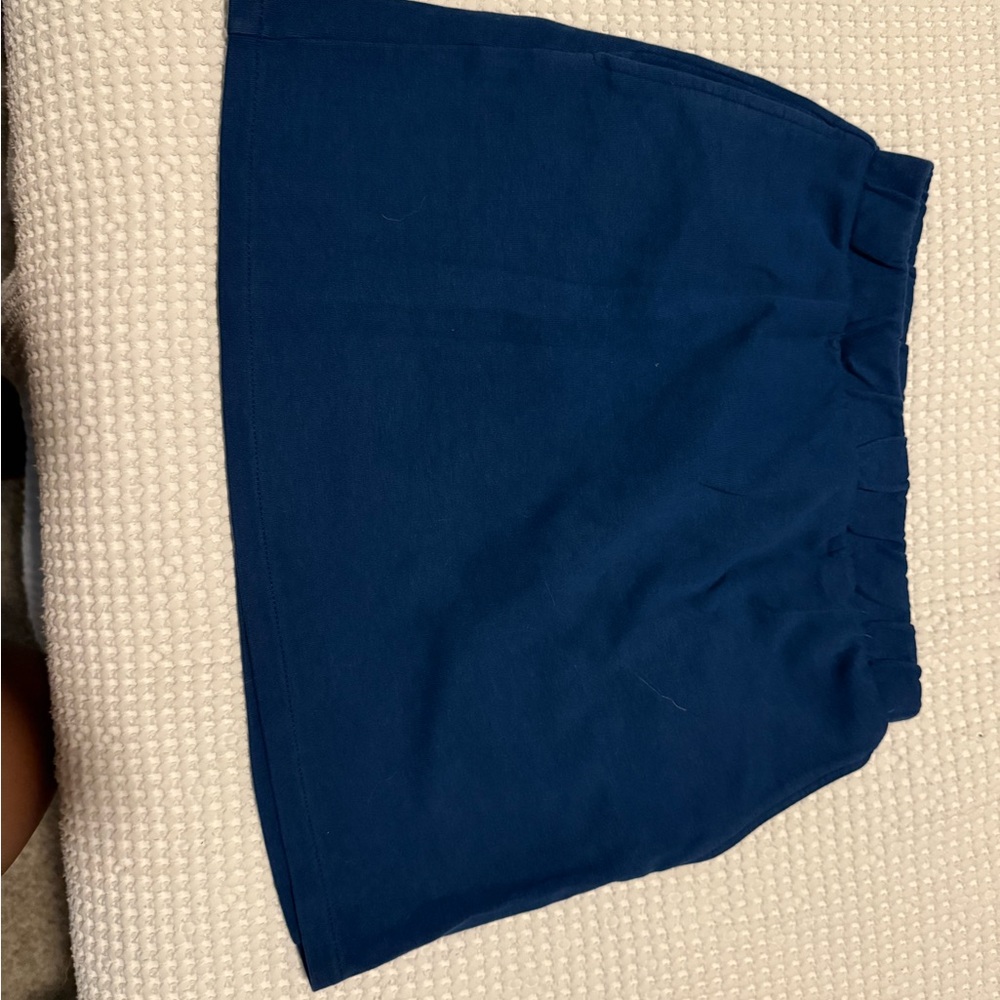 Zara Navy Blue Skirt